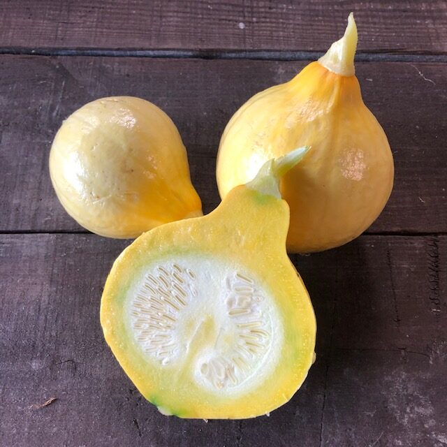 サラダカボチャ コリンキー