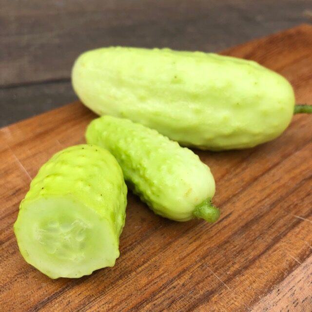 ミニきゅうり