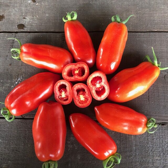 サンマルツァーノトマト