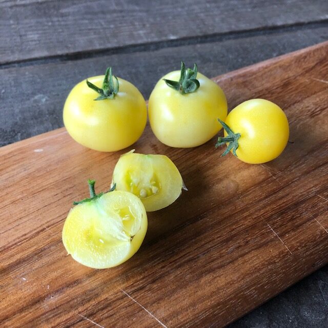 ミディトマト（白）