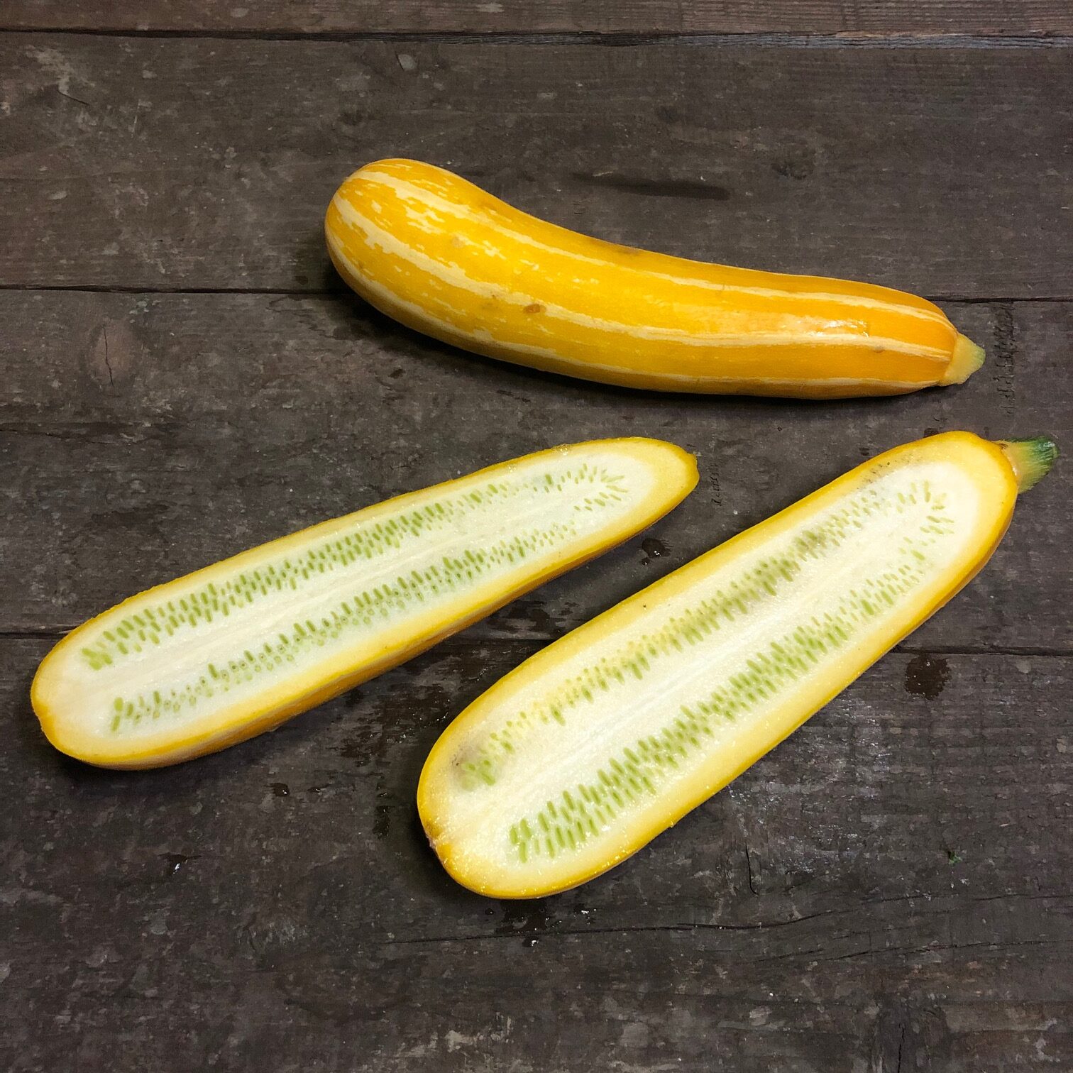 黄ゼブラズッキーニ