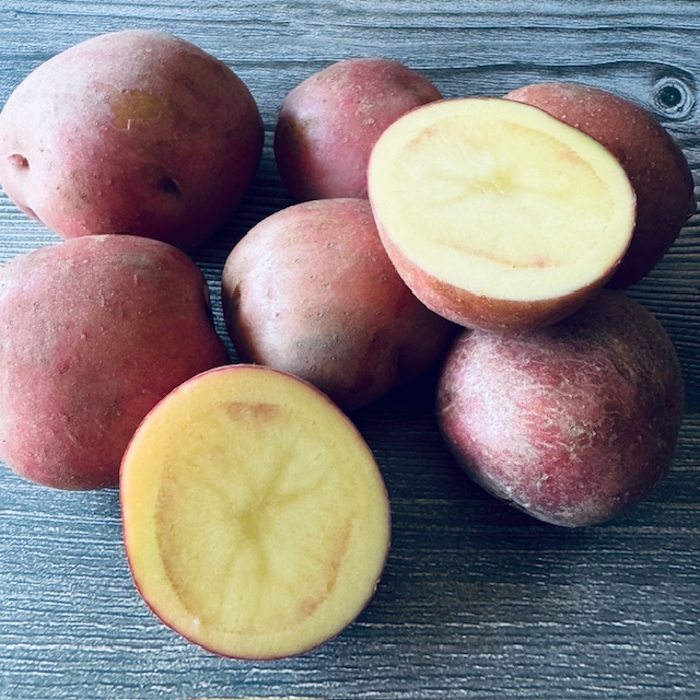 ジャガイモ アンデスレッド