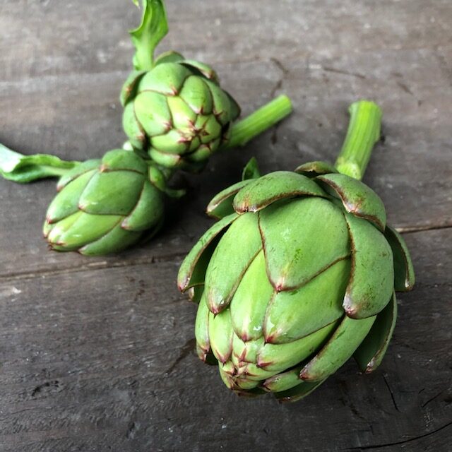 アーティチョーク（緑）