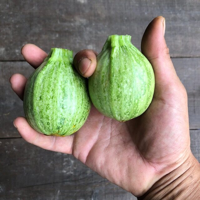 白丸ズッキーニ