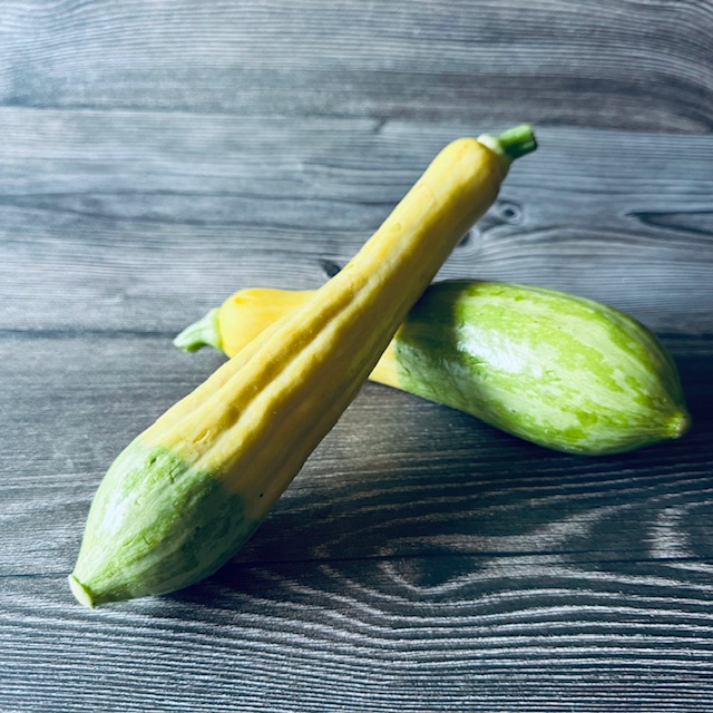 バイカラーズッキーニ