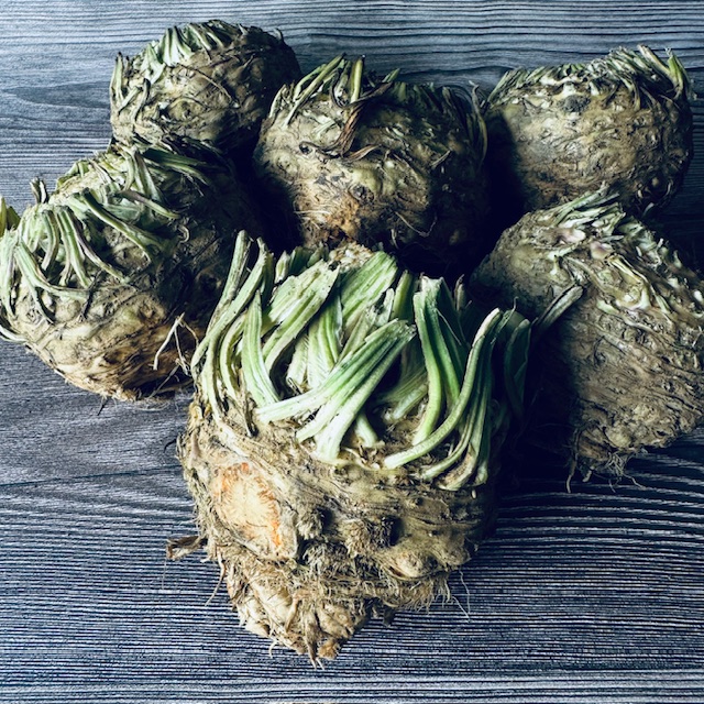 セルリアック（根セロリ）