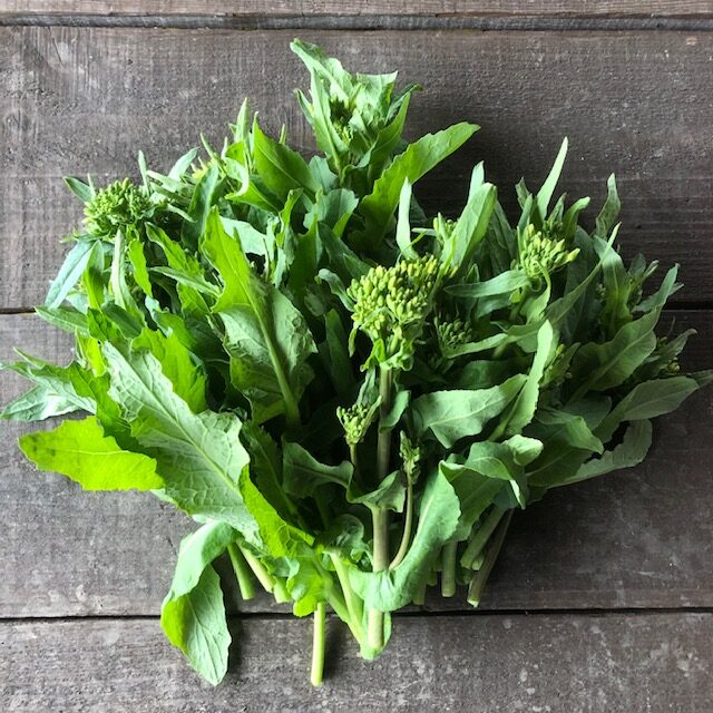 チーマ・ディ・ラーパ