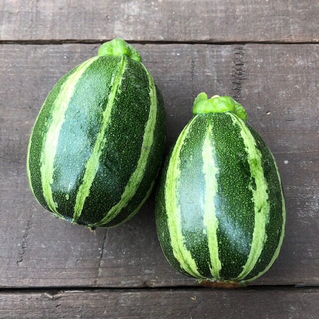 卵ゼブラズッキーニ