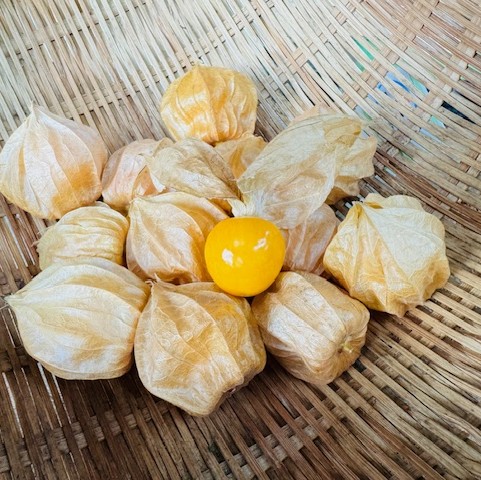 フルーツほおずき