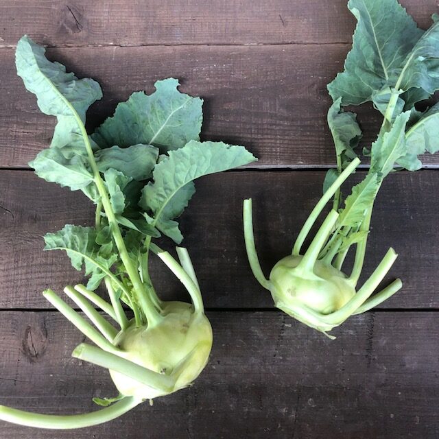 コールラビ（緑）