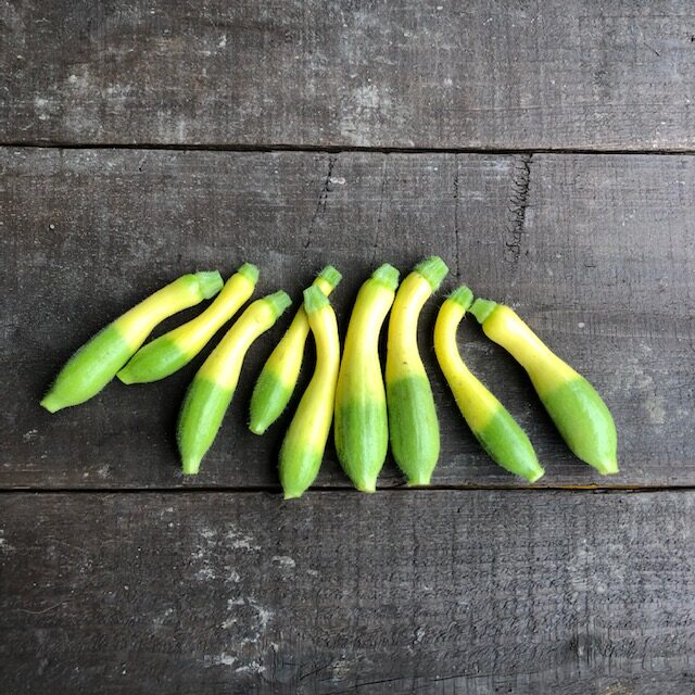 ミニズッキーニ