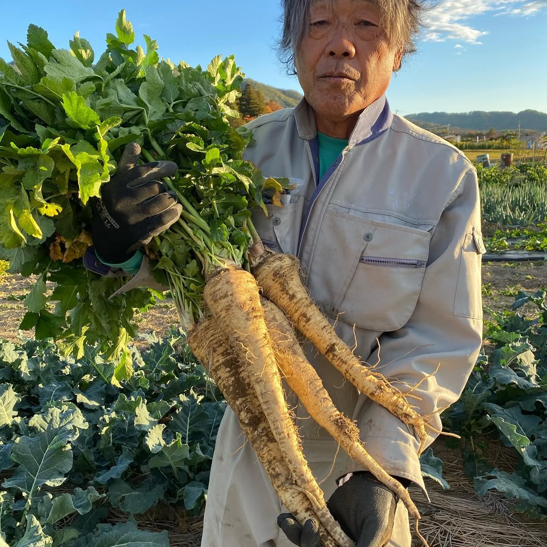 パースニップ