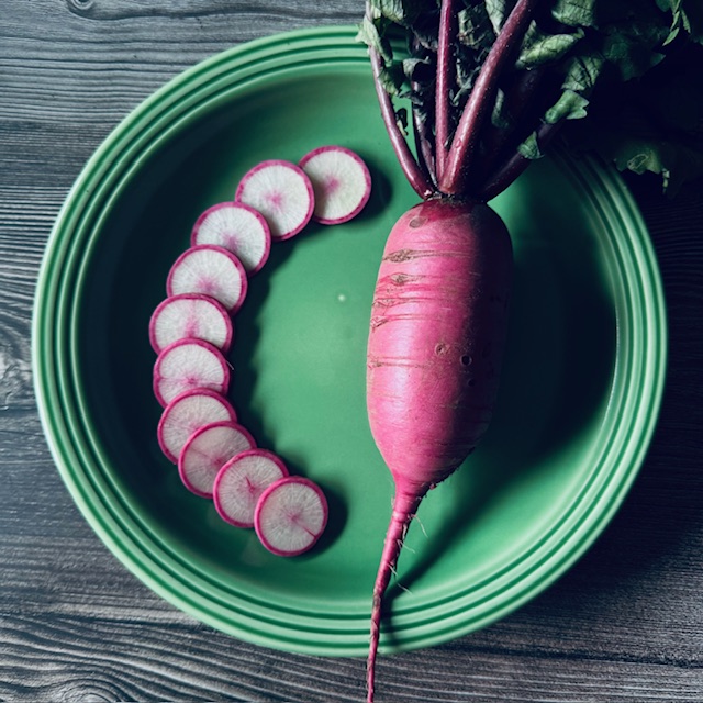 ピンクダイコン