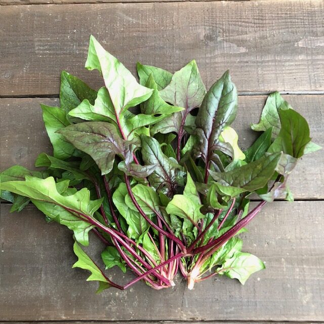 赤軸ほうれん草