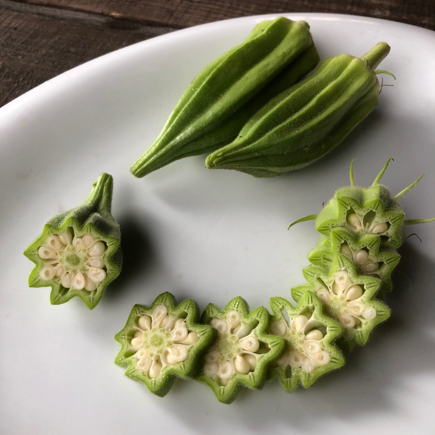 オクラ　ダビデの星