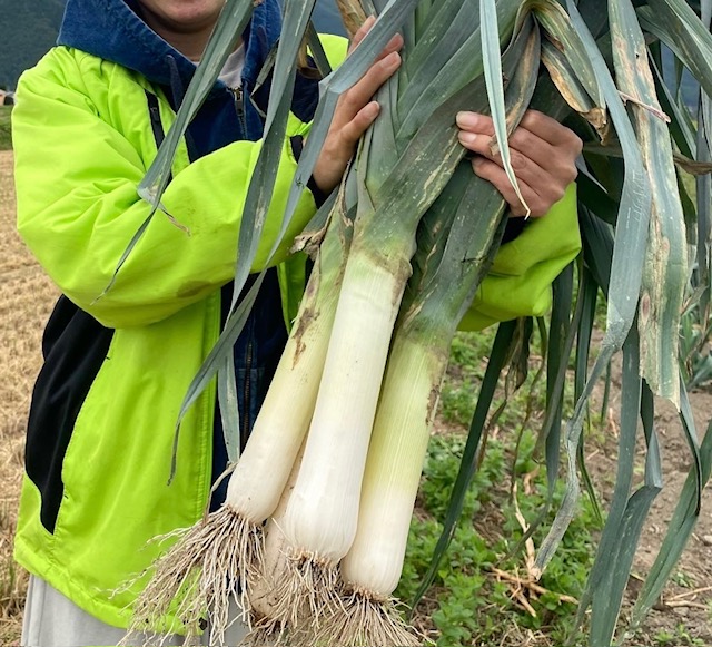 冬の味覚ポワロー